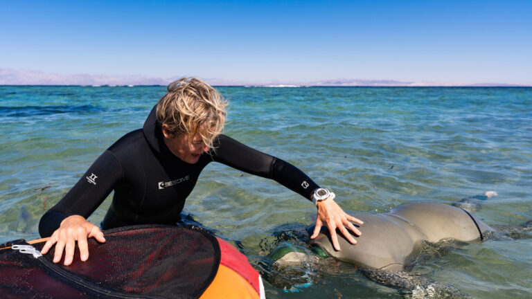 AIDA Kurs Freediving: Instruktorin unterrichtet die Freedive-Disziplin STATIC in Dahab, Ägypten im Roten Meer im Eel Garden