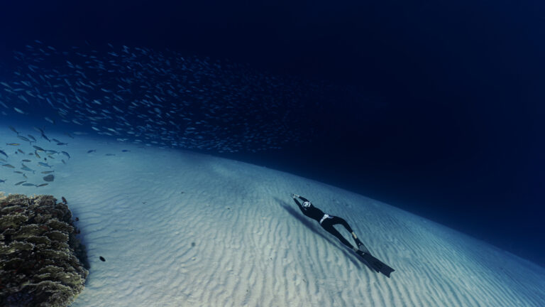 Fundive in Dahab, Ägypten im Eel Garden. Freediverin auf sandigem Meeresgrund tauchend mit Fischen im Hintergrund